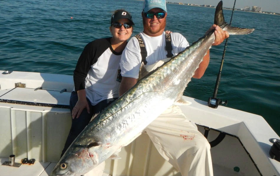 Tournament winning King Mackerel in St. Petersburg, FL fishing tournament.