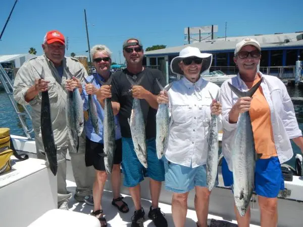 Back in Tampa Bay for a hot King fish bite