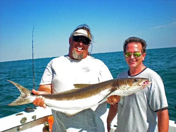 Big fish catching out of Johns Pass