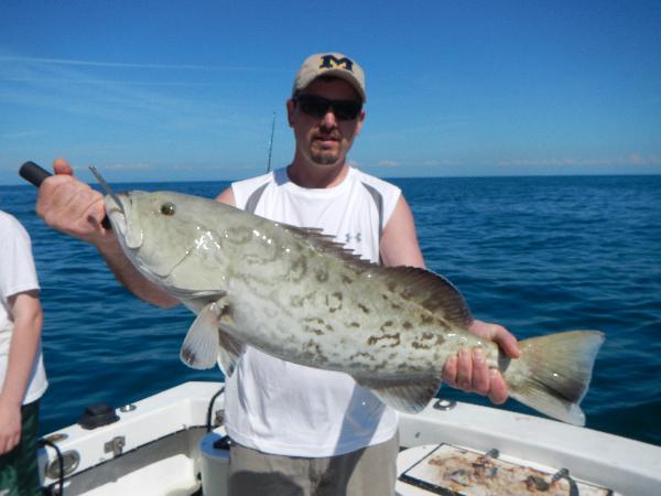 Grouper fishing tampa bay Clearance