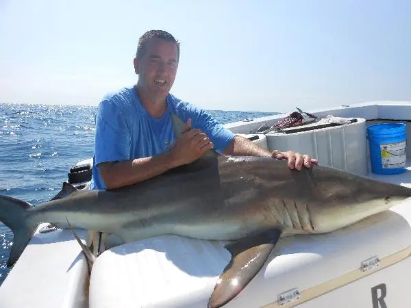 Fantastic fishing Tampa Bay